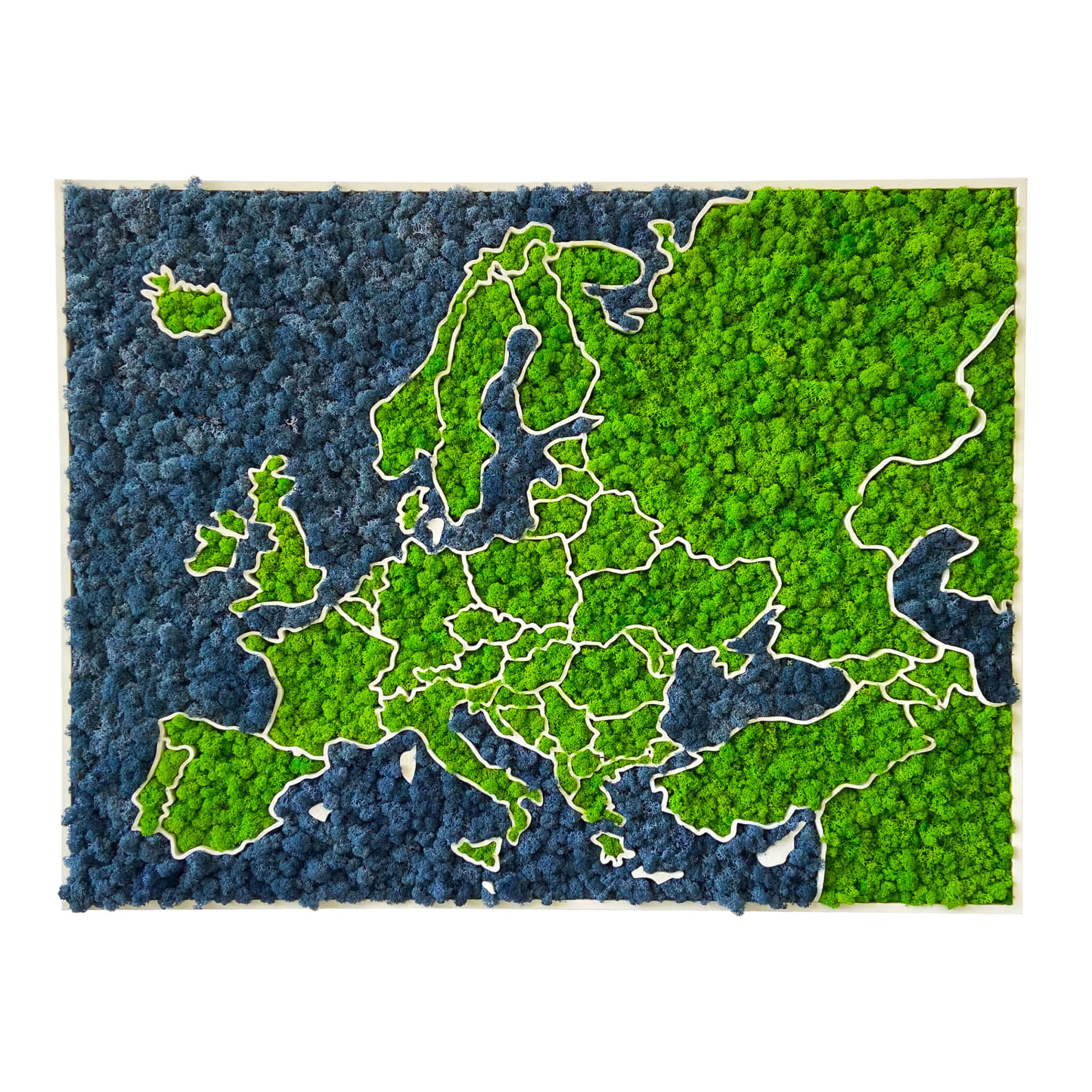 Mappa dell'Europa 3D in Muschio - lichene biologico