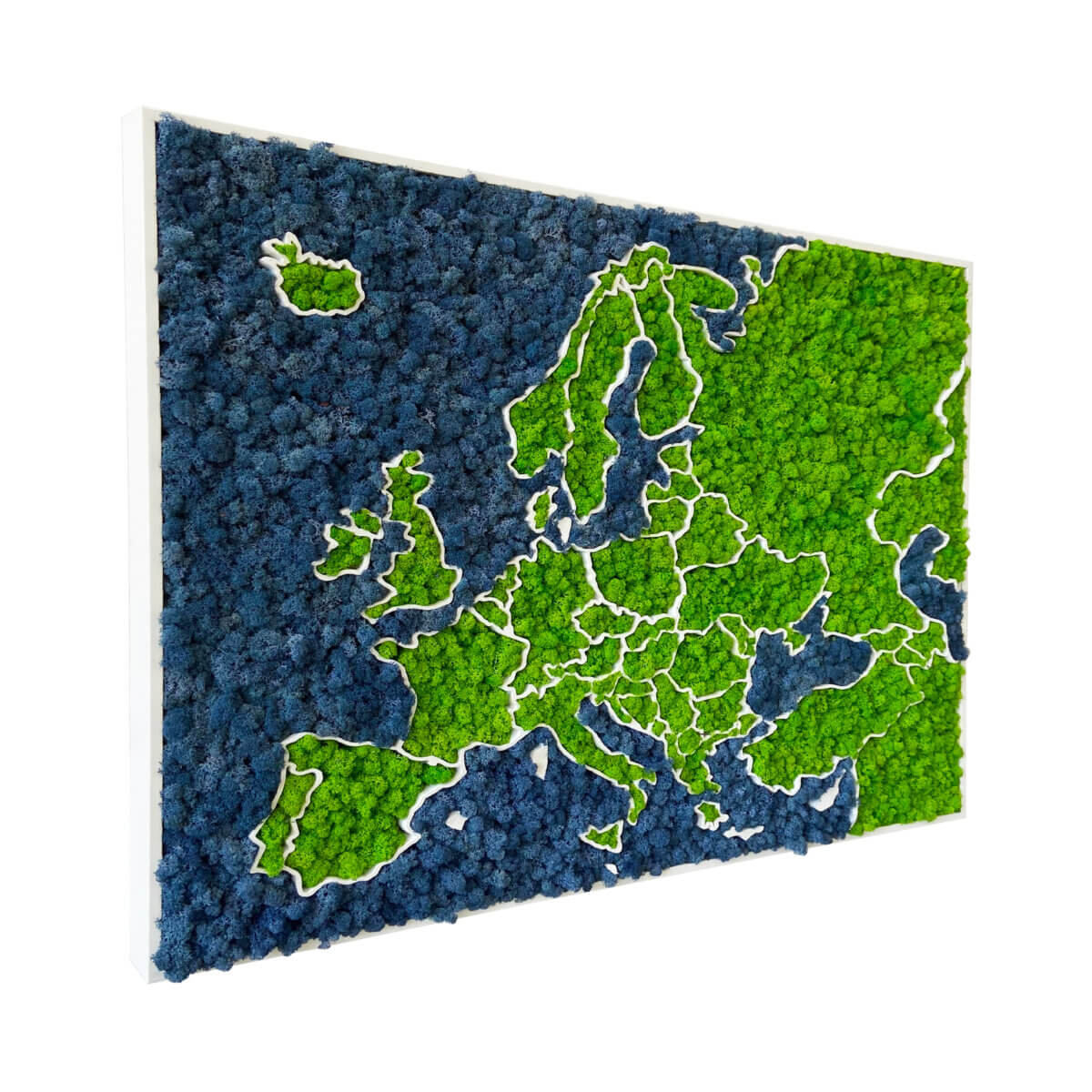 Mappa dell'Europa 3D in Muschio - lichene biologico