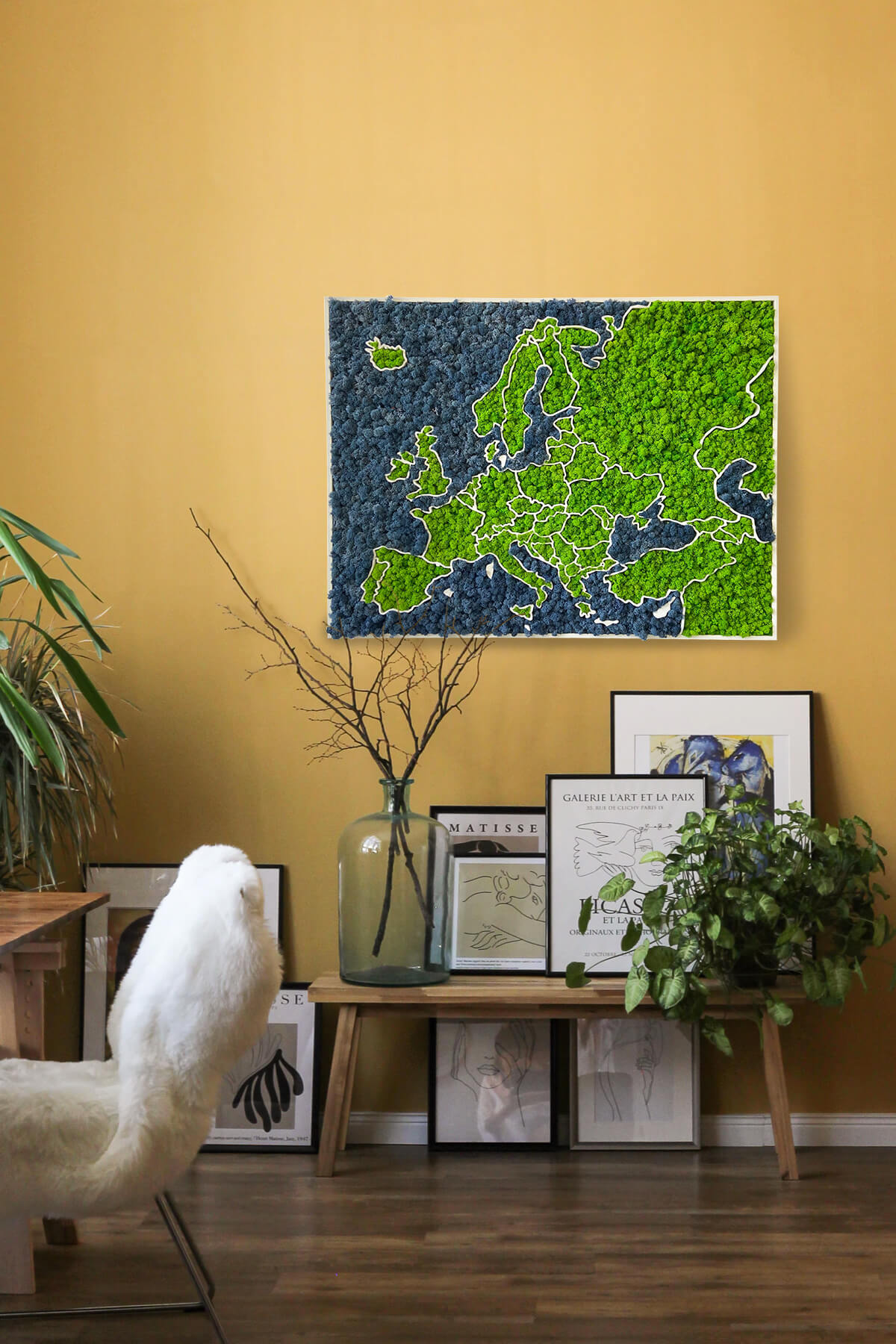 Mappa dell'Europa in Muschio - installazione a parete